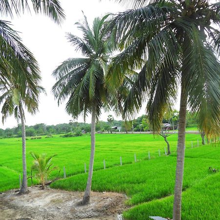 Green Sapphire Holiday Resort Wilpaththu Wilpattu Exterior foto