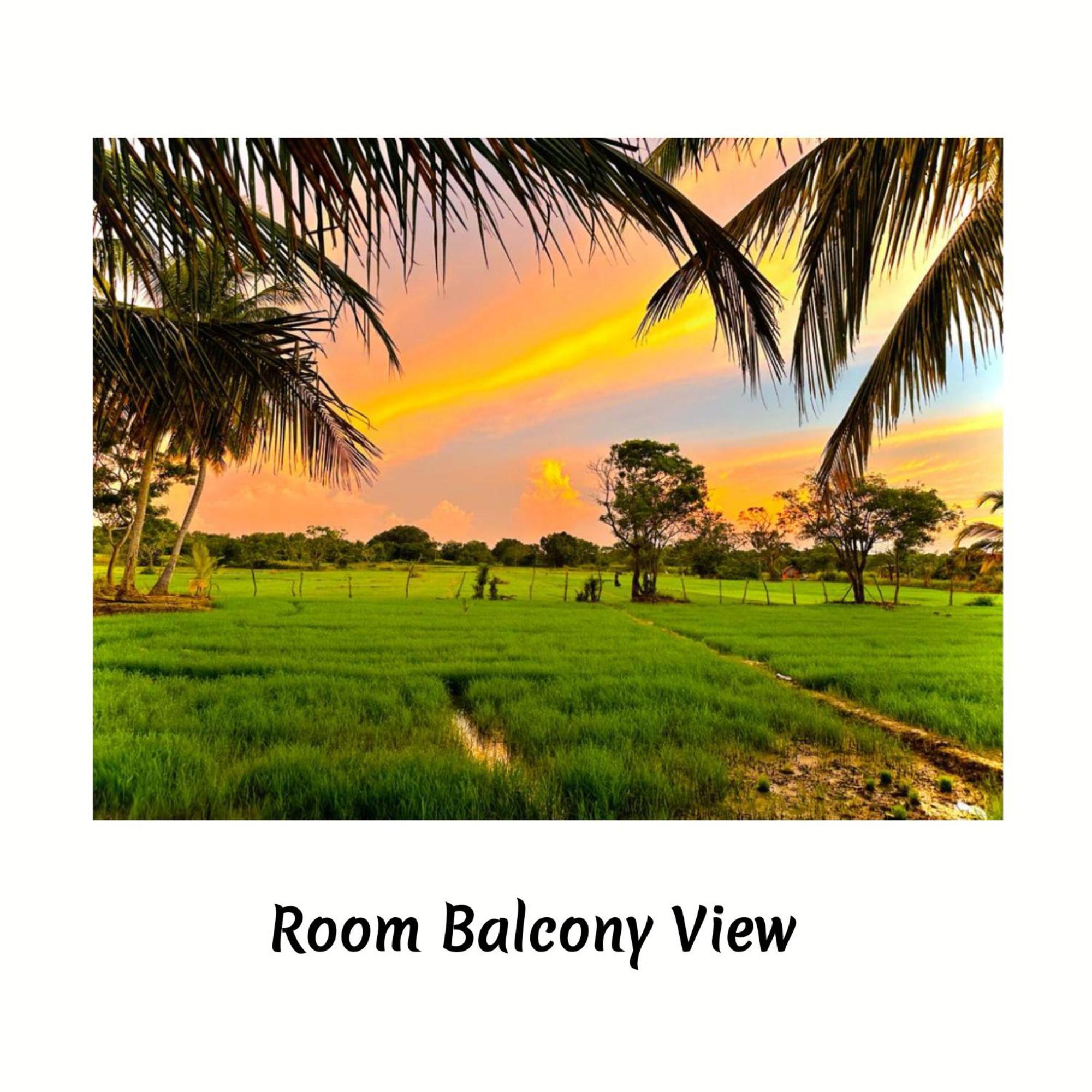 Green Sapphire Holiday Resort Wilpaththu Wilpattu Exterior foto