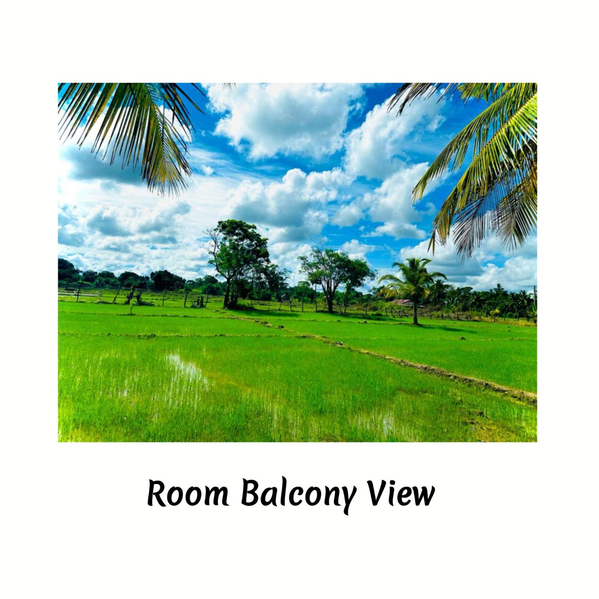 Green Sapphire Holiday Resort Wilpaththu Wilpattu Exterior foto
