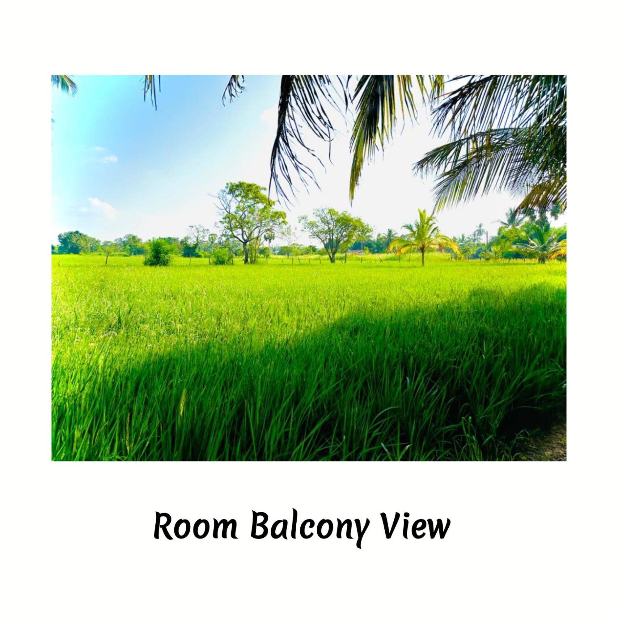 Green Sapphire Holiday Resort Wilpaththu Wilpattu Exterior foto