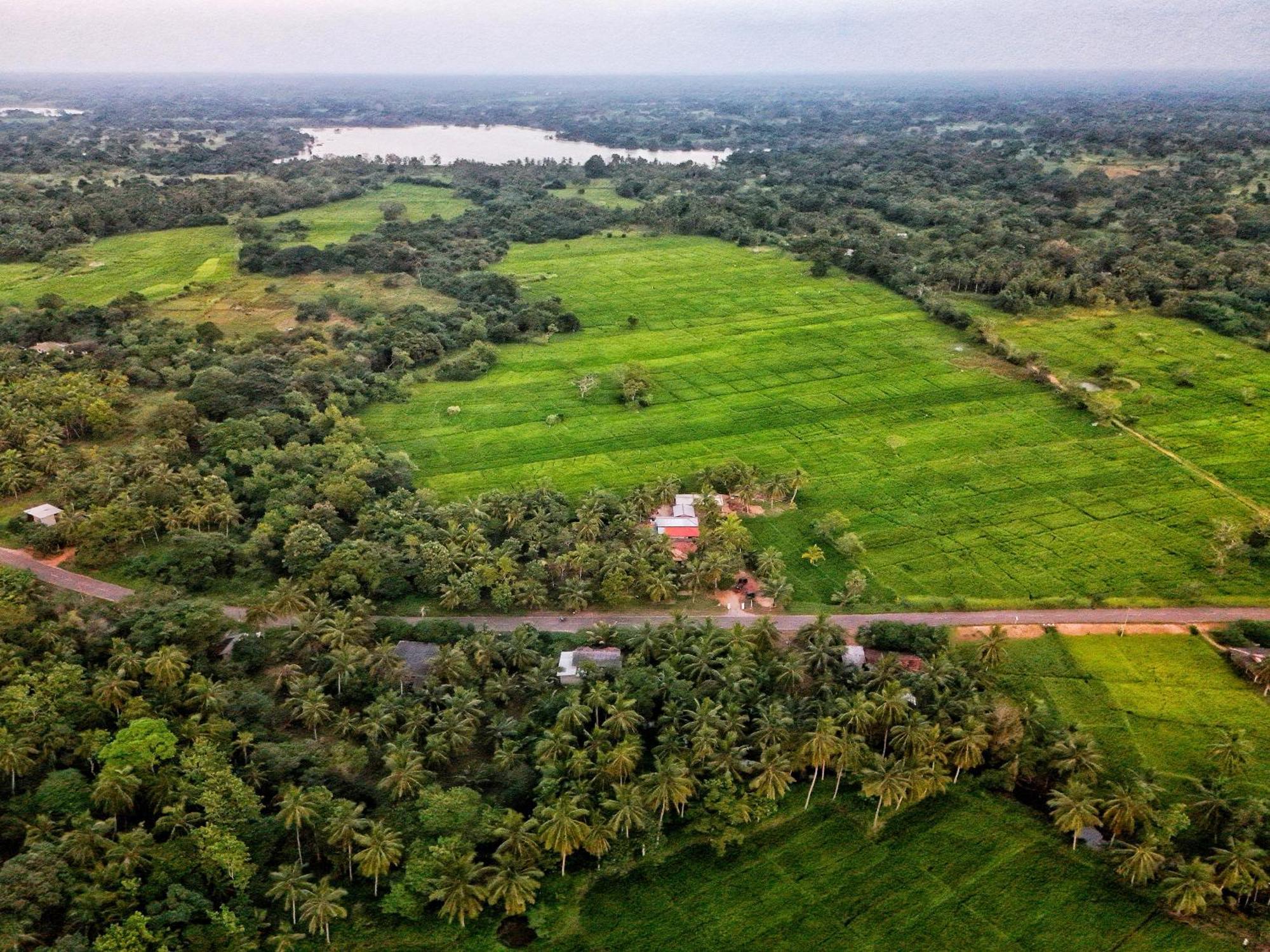 Green Sapphire Holiday Resort Wilpaththu Wilpattu Exterior foto