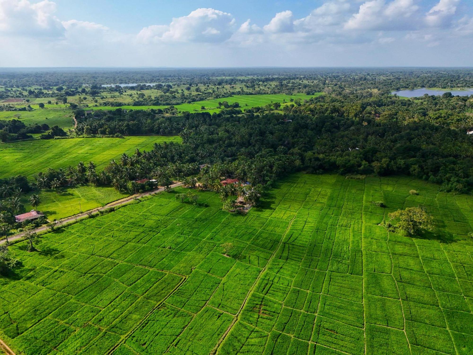 Green Sapphire Holiday Resort Wilpaththu Wilpattu Exterior foto